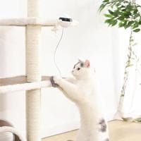 Pet Cat Toy Electronic Motion Cat Toy, view 3