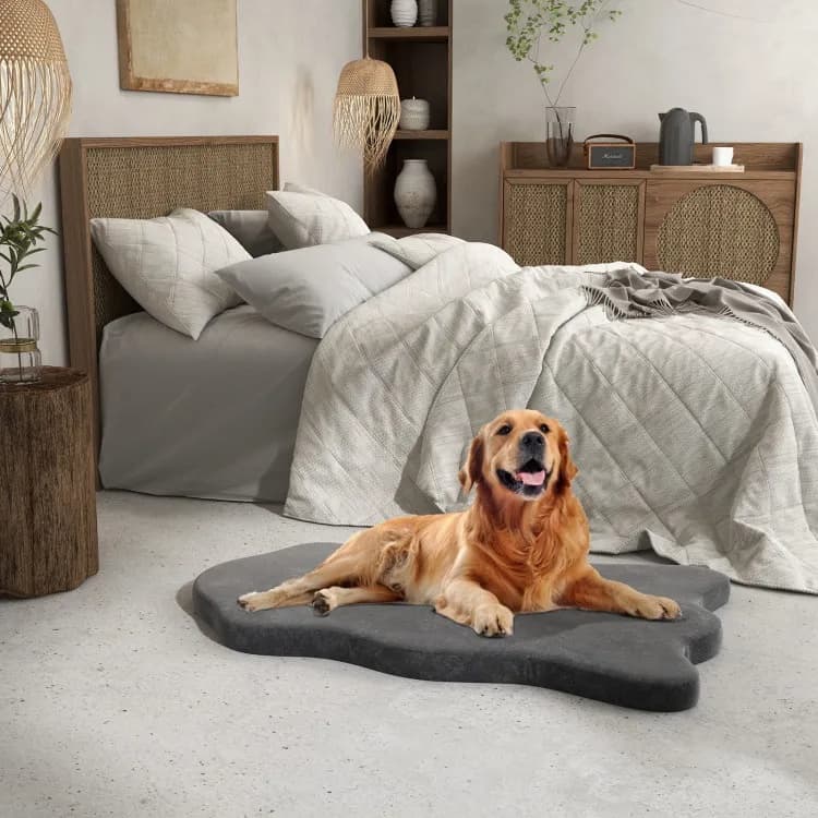 Orthopedic Dog Bed in a warmly lit living room