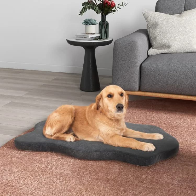 Orthopedic Dog Bed, view 2