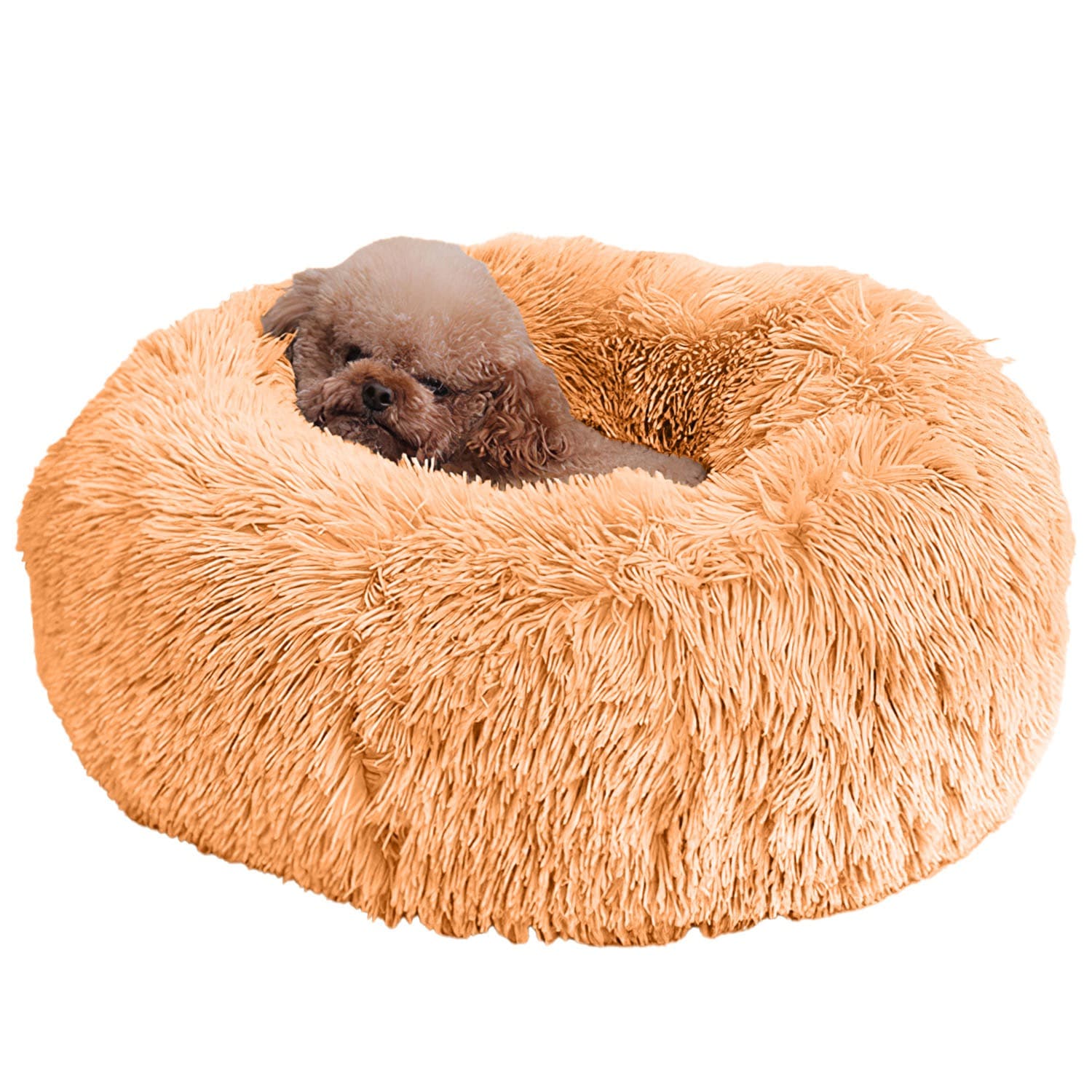 Pet Bed in a warmly lit living room