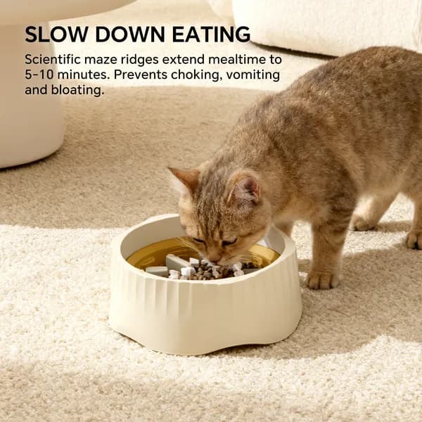 Dual-Purpose Slow Food Bowl on a kitchen floor