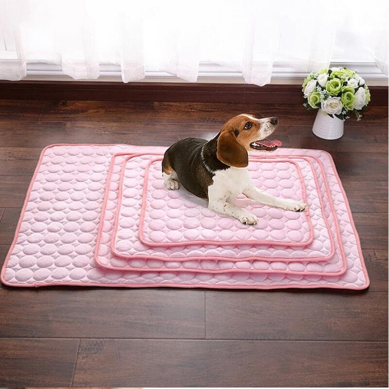 Pet Dog Cat Ice Silk Cold Nest Pad laid out on a wooden floor
